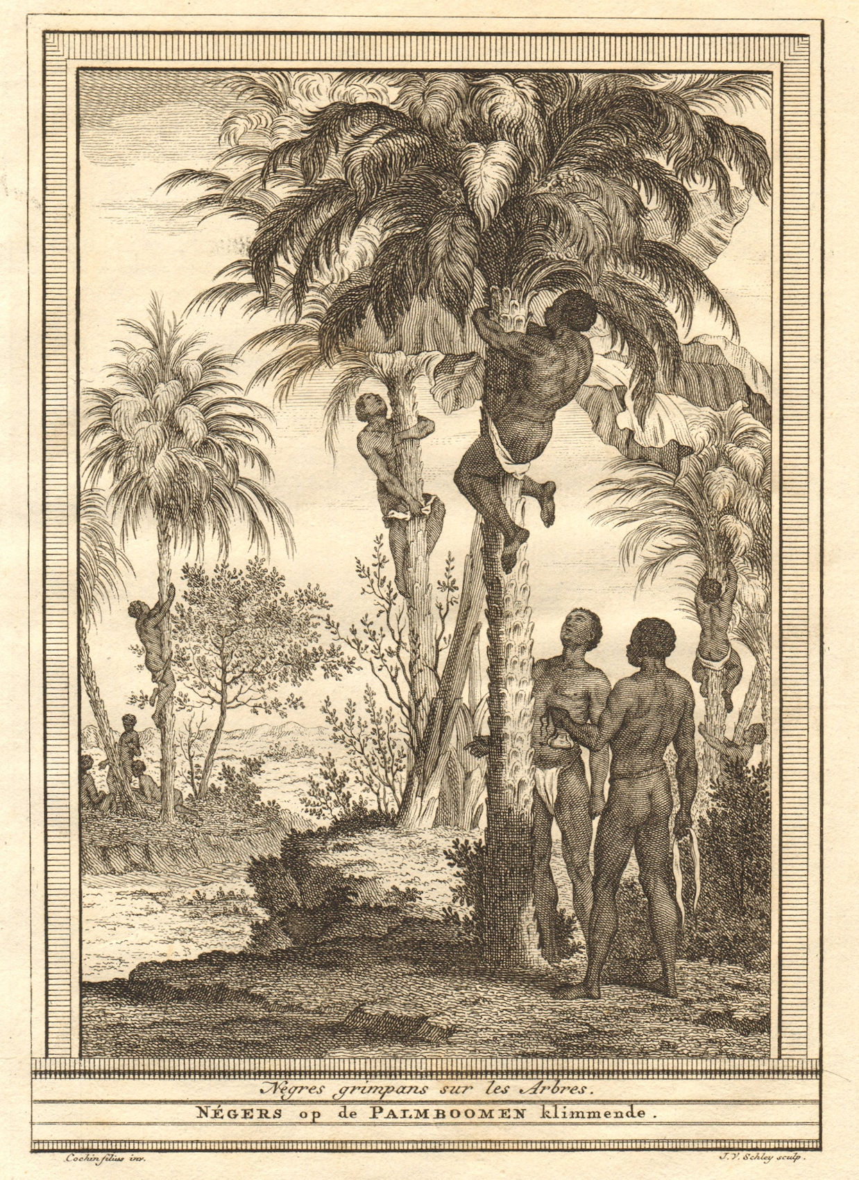 Associate Product Négres grimpans sur les arbres. Guinea-Bissau negroes climbing trees SCHLEY 1747