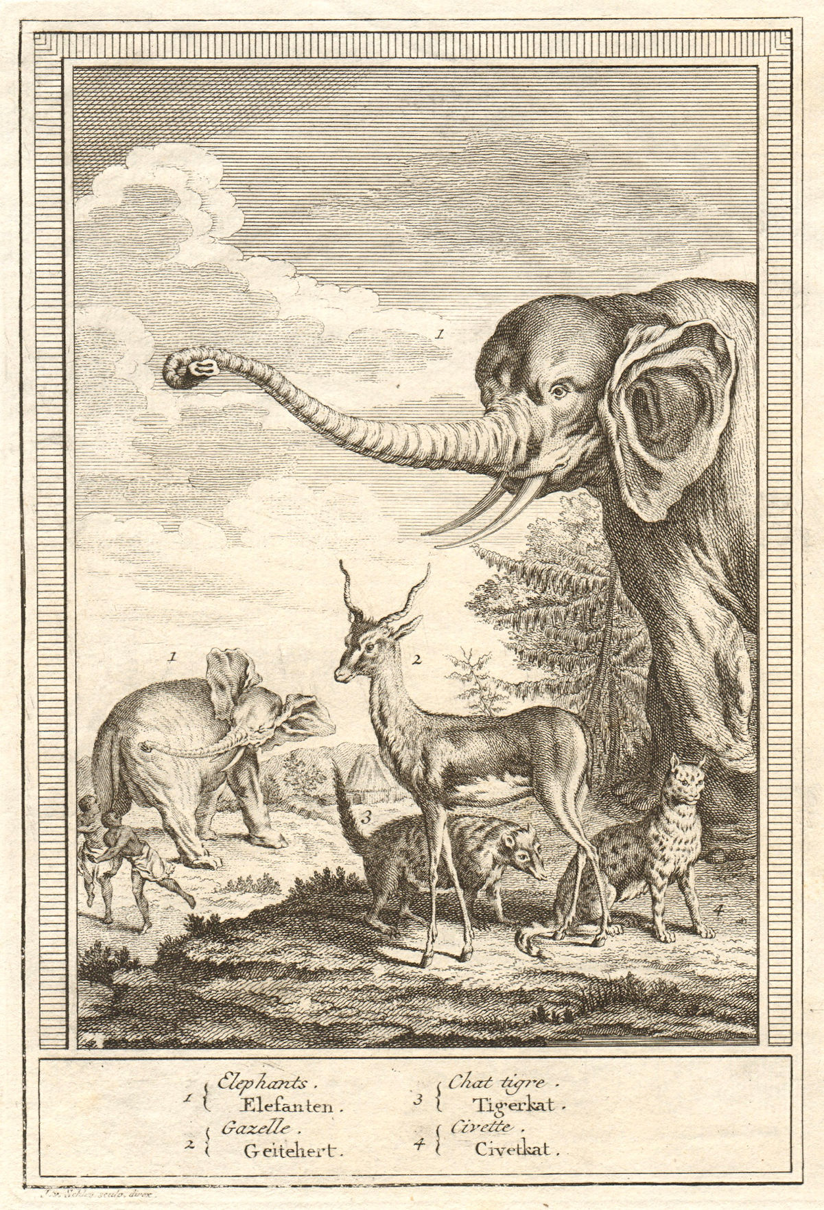 African animals. Elephants Tiger Cat Gazelle Civet. SCHLEY 1747 old print