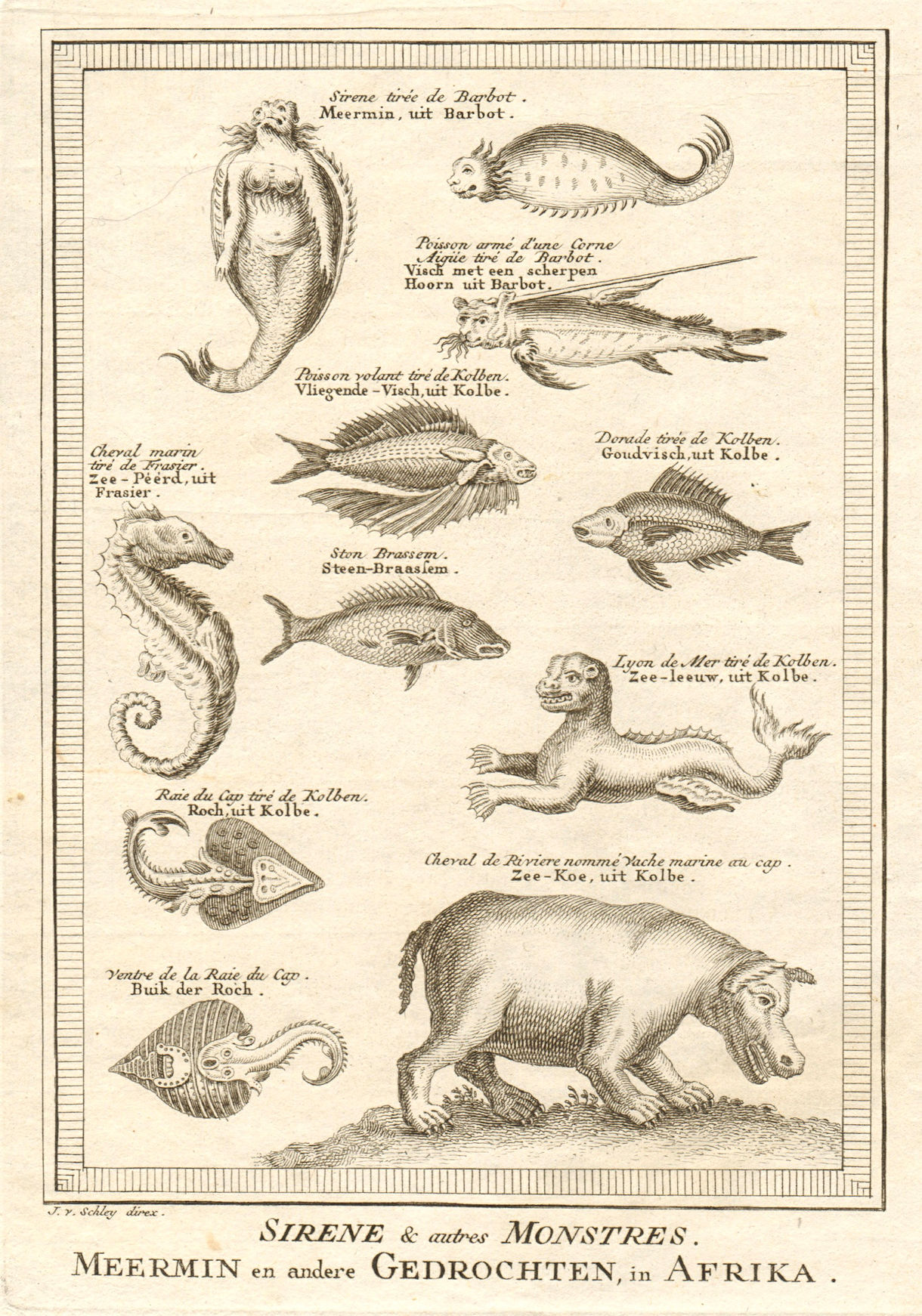 'Sirene & autres Monstres'. Africa. Mermaid (Beluga whale) seahorse. SCHLEY 1748