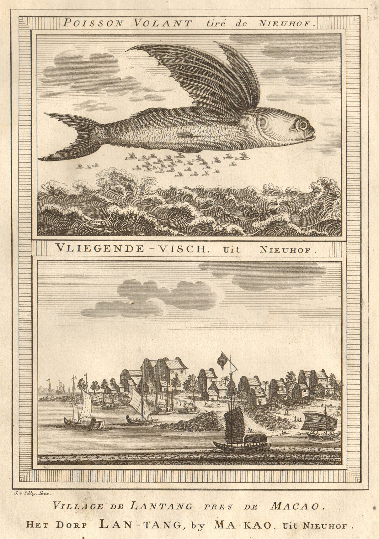 Poisson volant. Flying fish; Liantang village, Macau. China. SCHLEY 1749 print