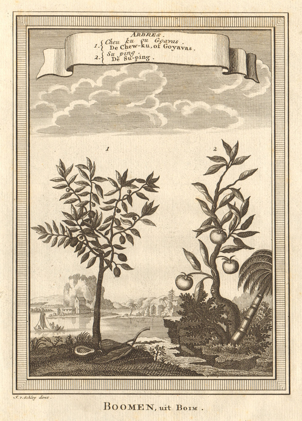 Associate Product 'Arbres; Cheu ku ou Goavas; Suping'. China. Trees; Guava; Suping. SCHLEY 1749