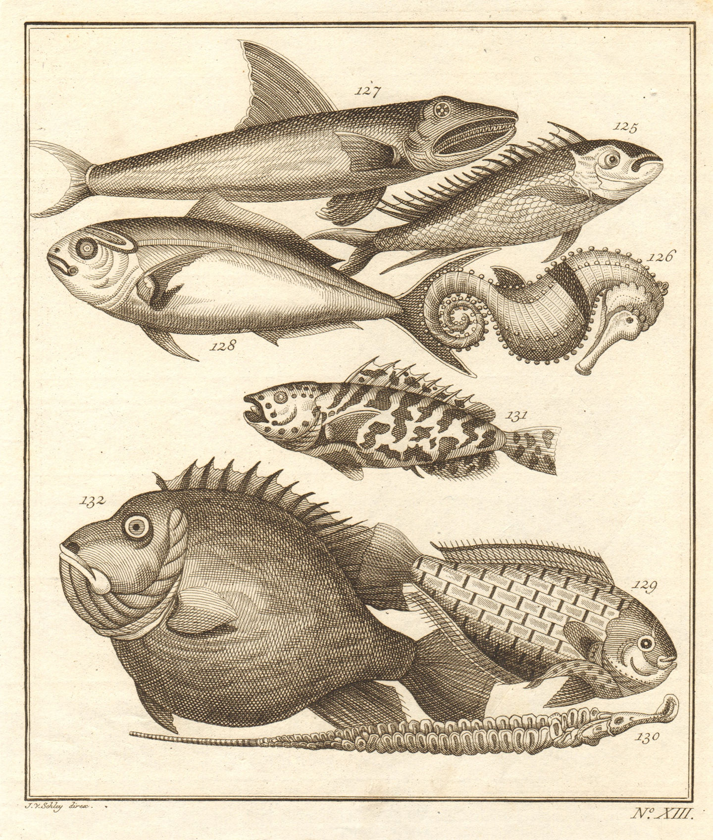 Associate Product XIII. Poissons d'Ambione. Indonesia Moluccas Maluku tropical fish. SCHLEY 1763