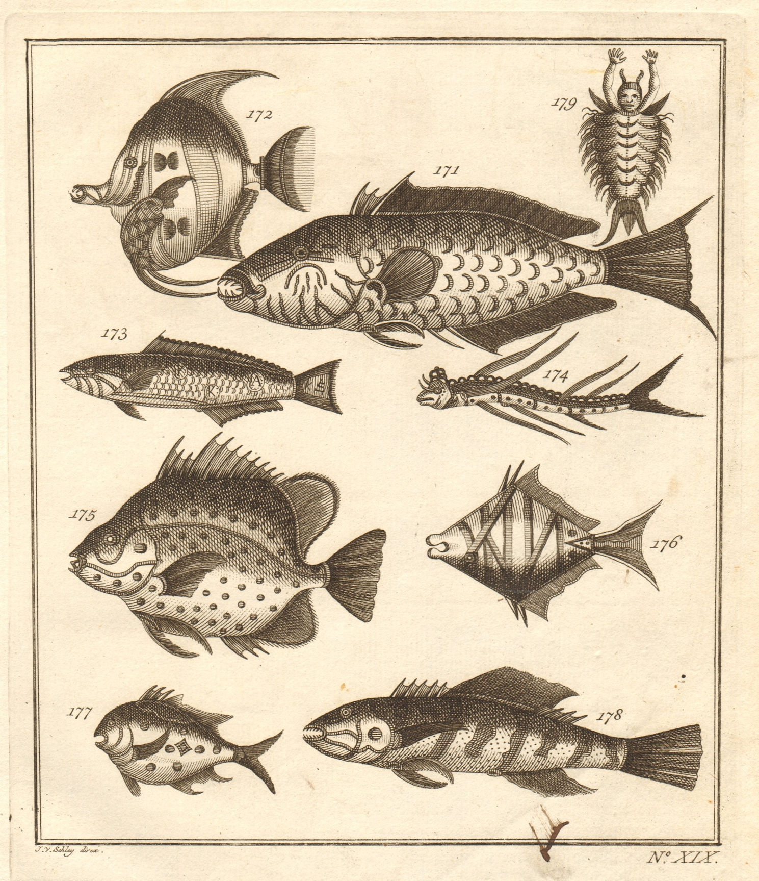 Associate Product XIX. Poissons d'Ambione. Indonesia Moluccas Maluku tropical fish. SCHLEY 1763