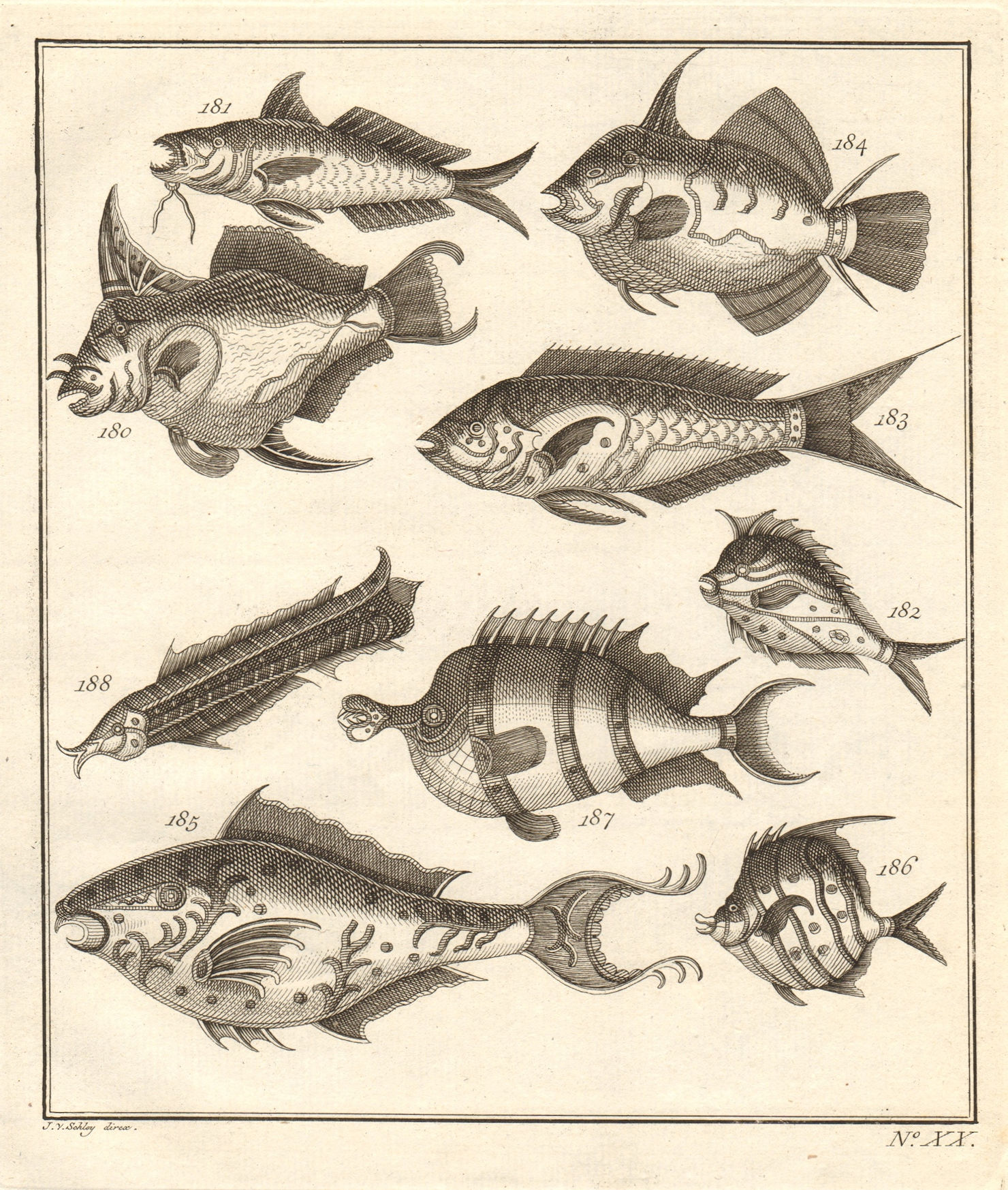 Associate Product XX. Poissons d'Ambione. Indonesia Moluccas Maluku tropical fish. SCHLEY 1763