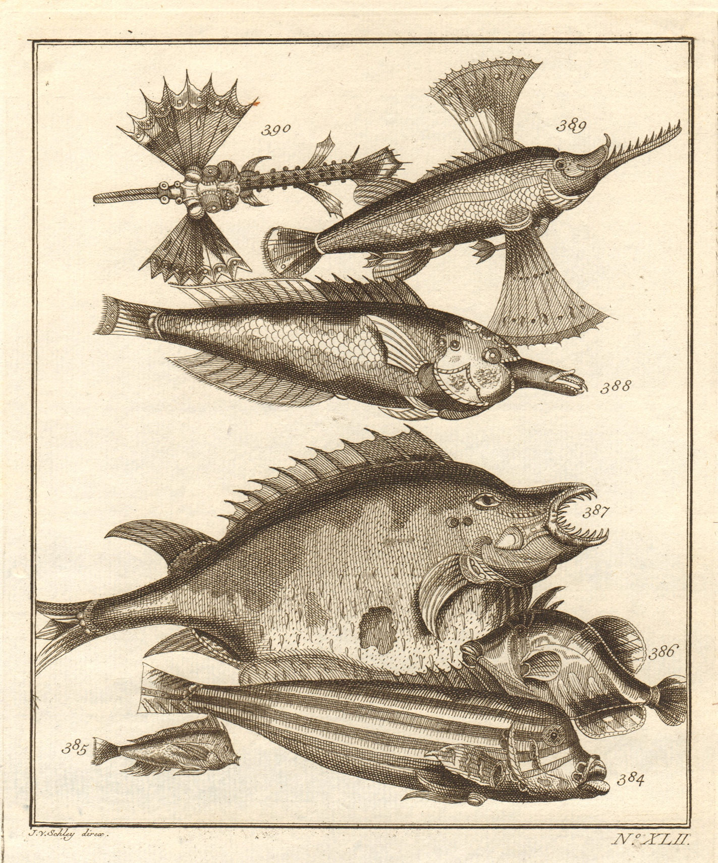 XLII. Poissons d'Ambione. Indonesia Moluccas Maluku tropical fish. SCHLEY 1763