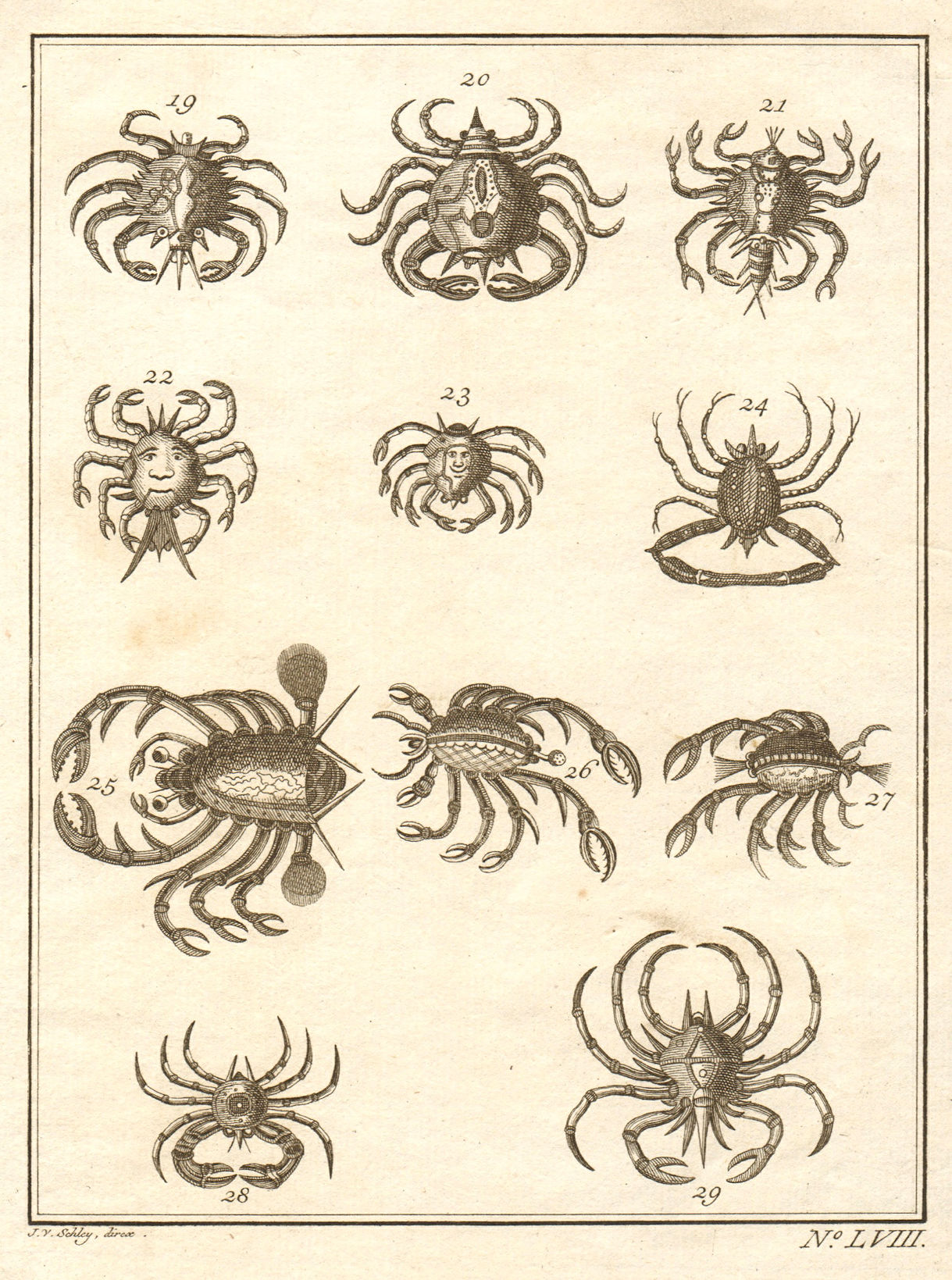 Associate Product LVIII - Cancres ou Crabbes. Indonesia. Crabs. Maluku Moluccas. SCHLEY 1763