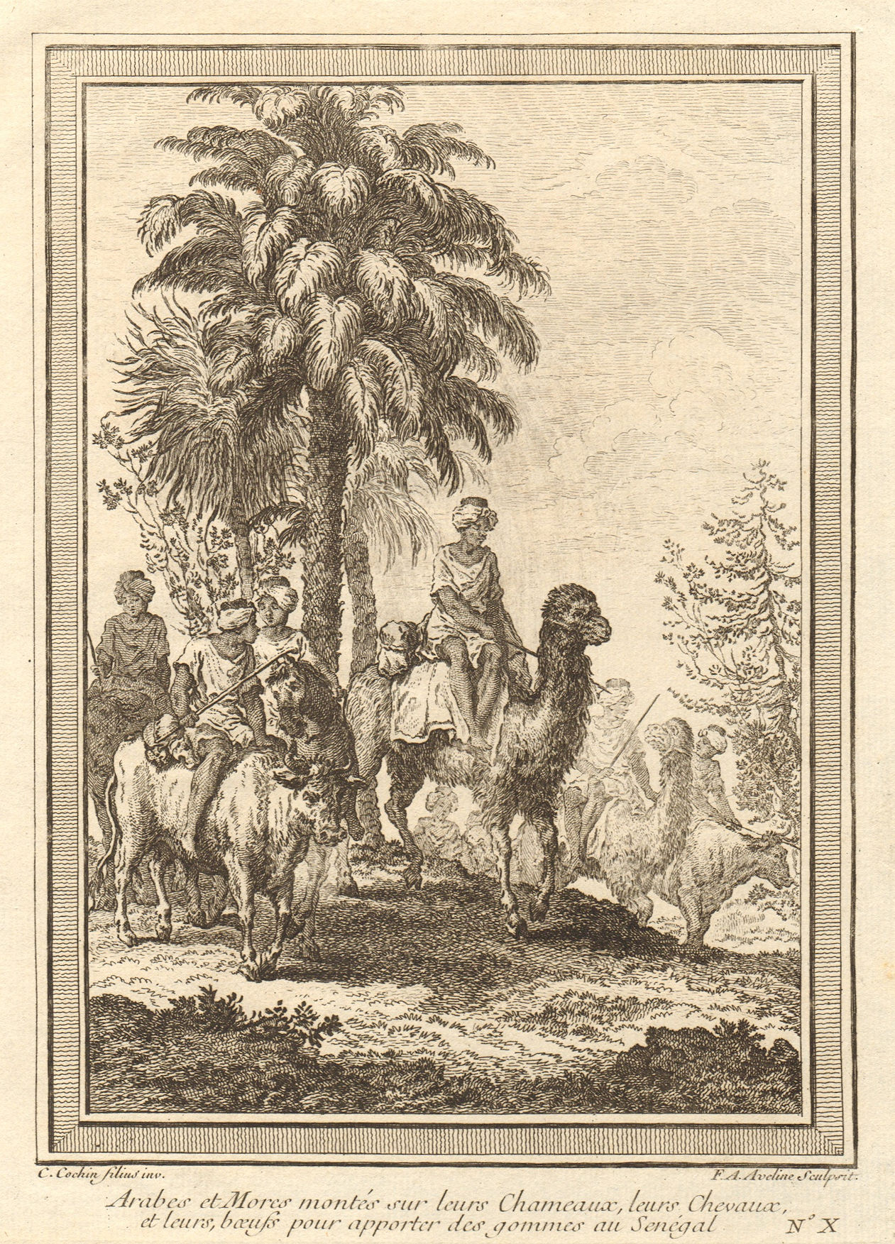 Associate Product Arabs & Moors on camels, horses & cattle bringing gum arabic to Senegal 1746