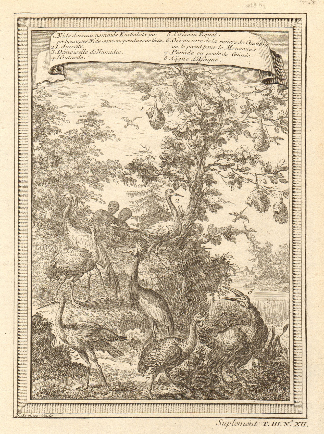 Associate Product West African birds. Kurbalot Fisher Aigret Bustard Damsel Monoceros 1747 print