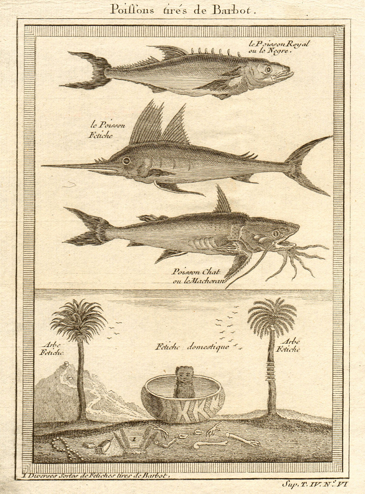 West Africa. Kingfish Swordfish Marlin Gillbacker sea catfish. Fetish tree 1748