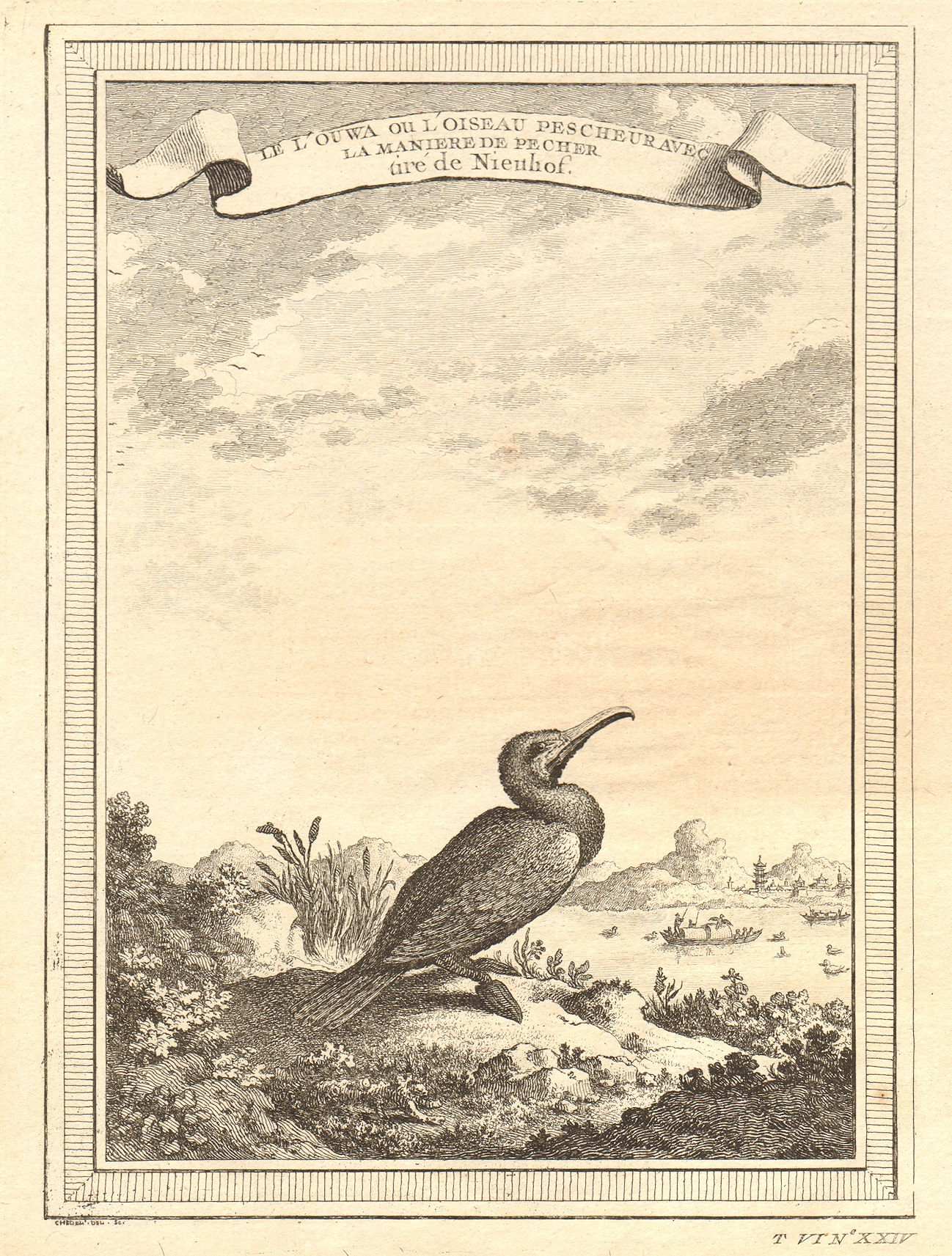 China. The Cormorant or fishing bird, with the method of fishing 1748 print