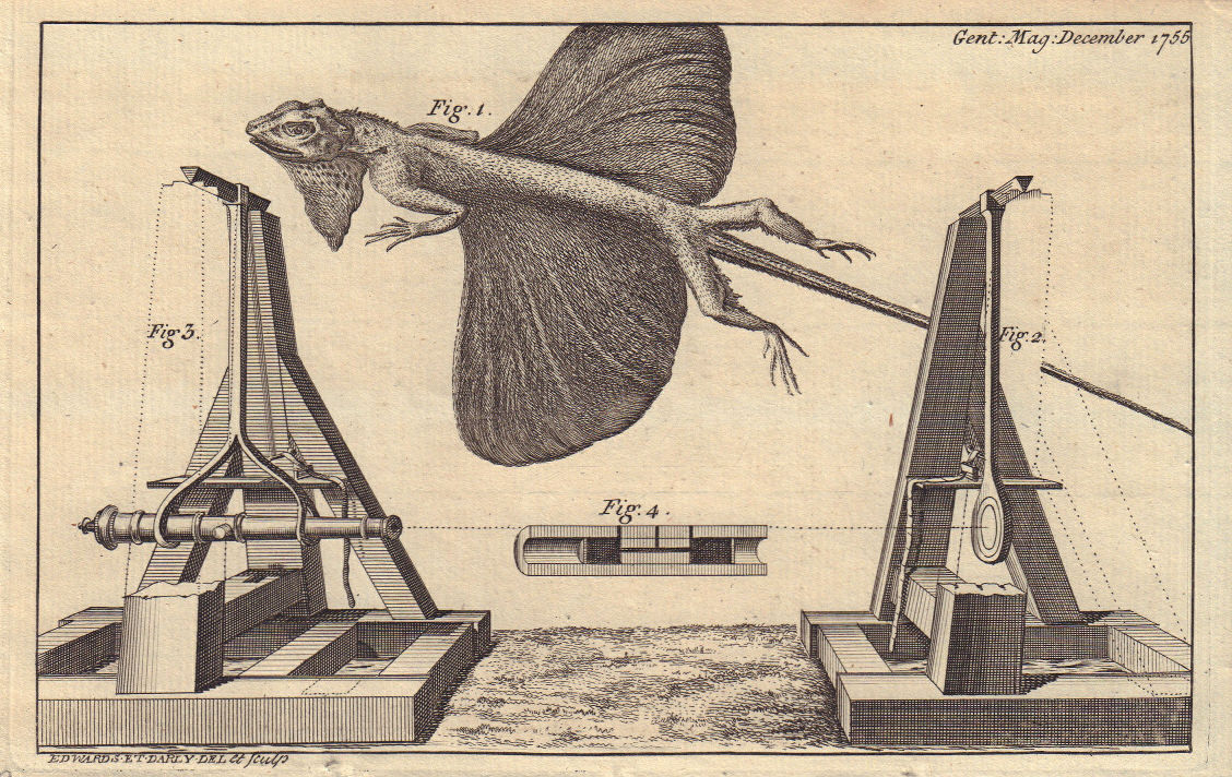 Associate Product Flying lizard. Draco. A machine to ascertain the strength of Gunpowder 1755