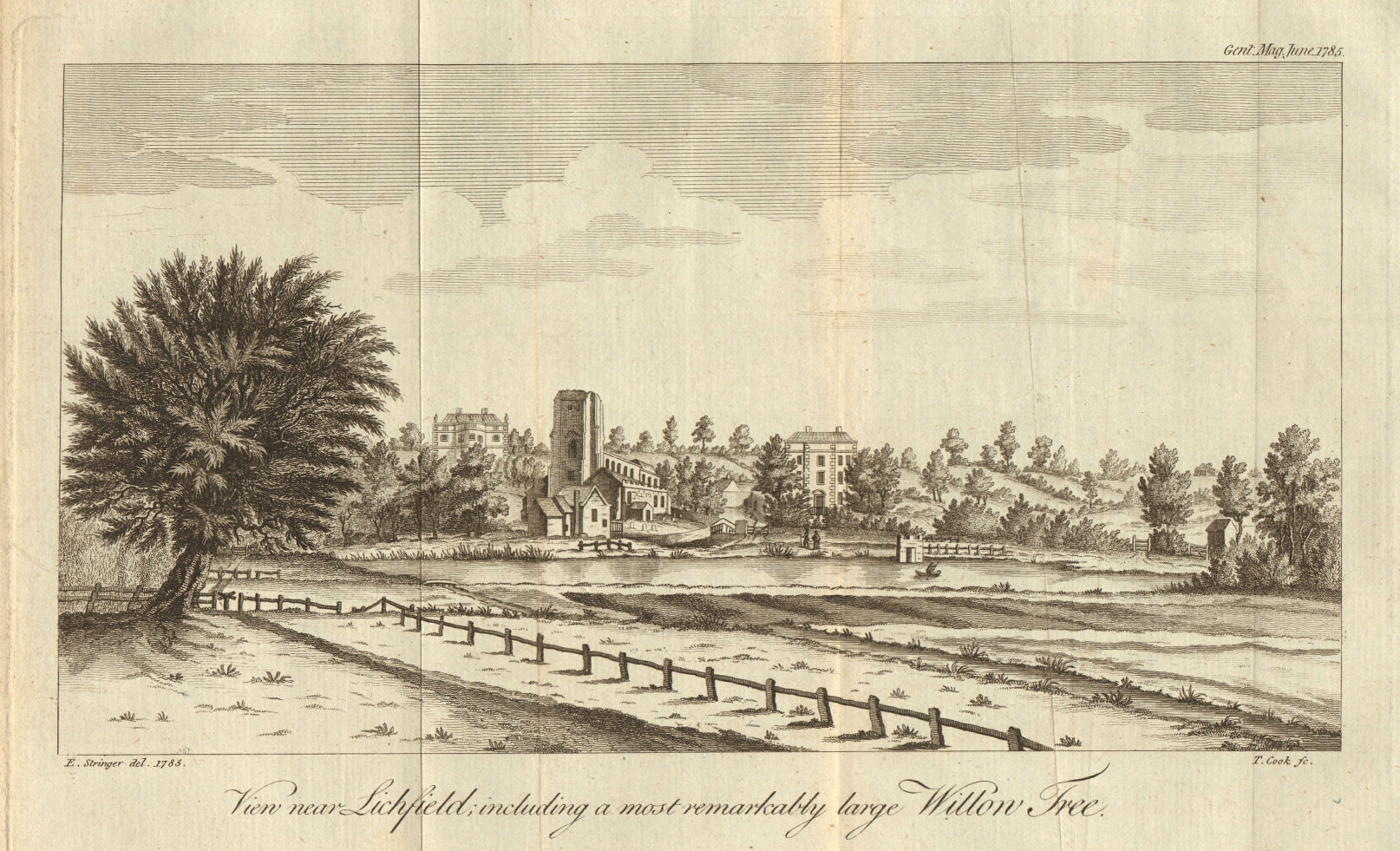 Associate Product View near Lichfield, Staffordshire, including a large willow tree 1785 print