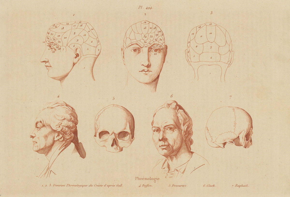 PHRENOLOGY. div. cranium after Gall. Buffon. Descartes. Gluck. Raphaël 1833