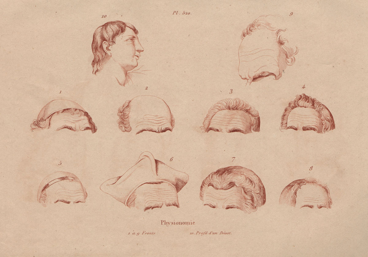 Associate Product FOREHEADS. Fronts. Profile of a Devotee. physiognomy 1833 old antique print