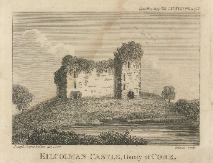 Associate Product View of the Remains of Kilcolman Castle, County Cork. Ireland 1818 old print