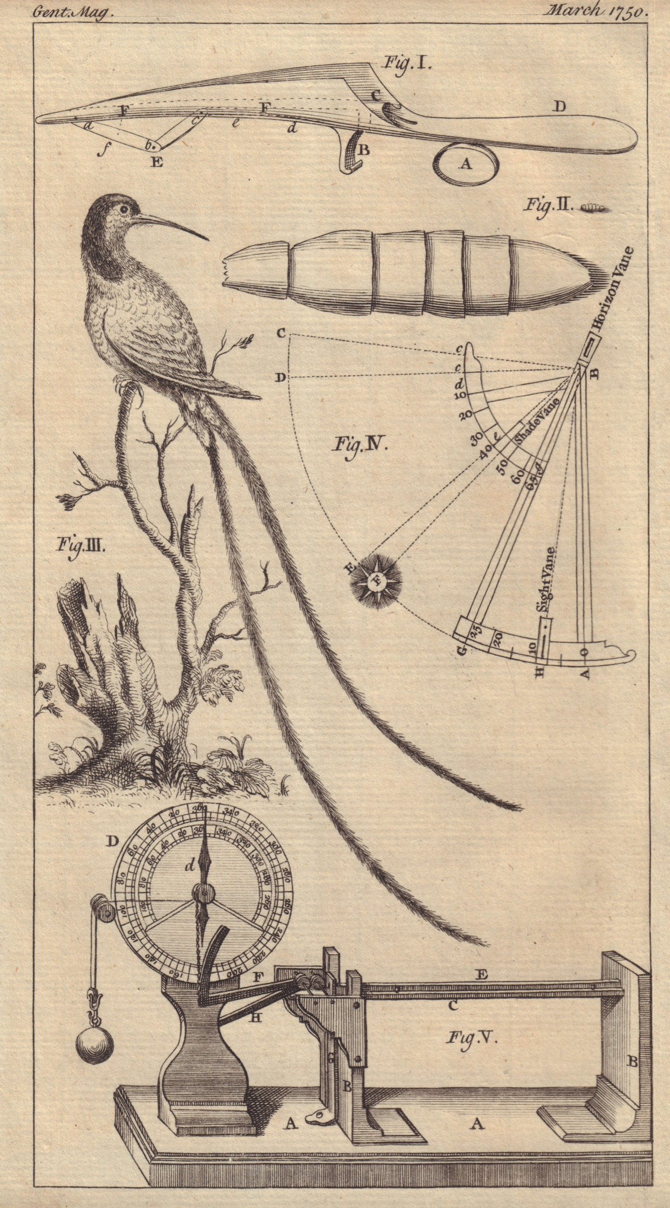 Gorget Surgical Instrument Davis's Quadrant Hummingbird Ellicot's Pyrometer 1750