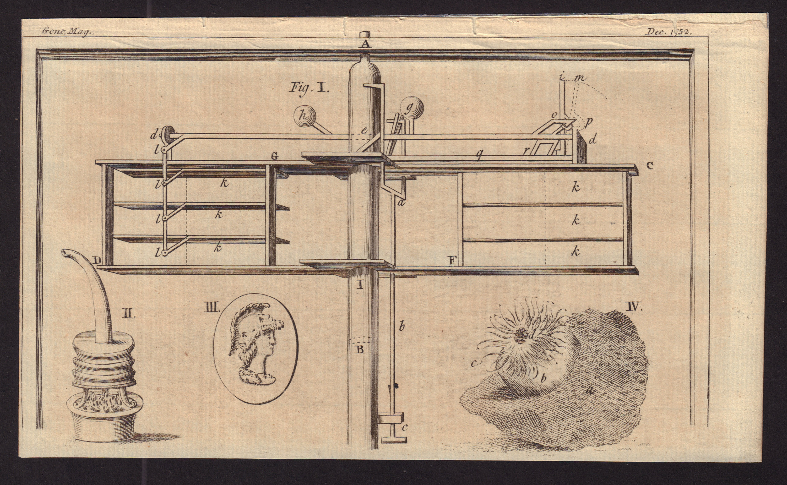 Associate Product Horizontal Windmill. Fumigating Machine. Roman Amulet or Chimera. Zoophyte 1752