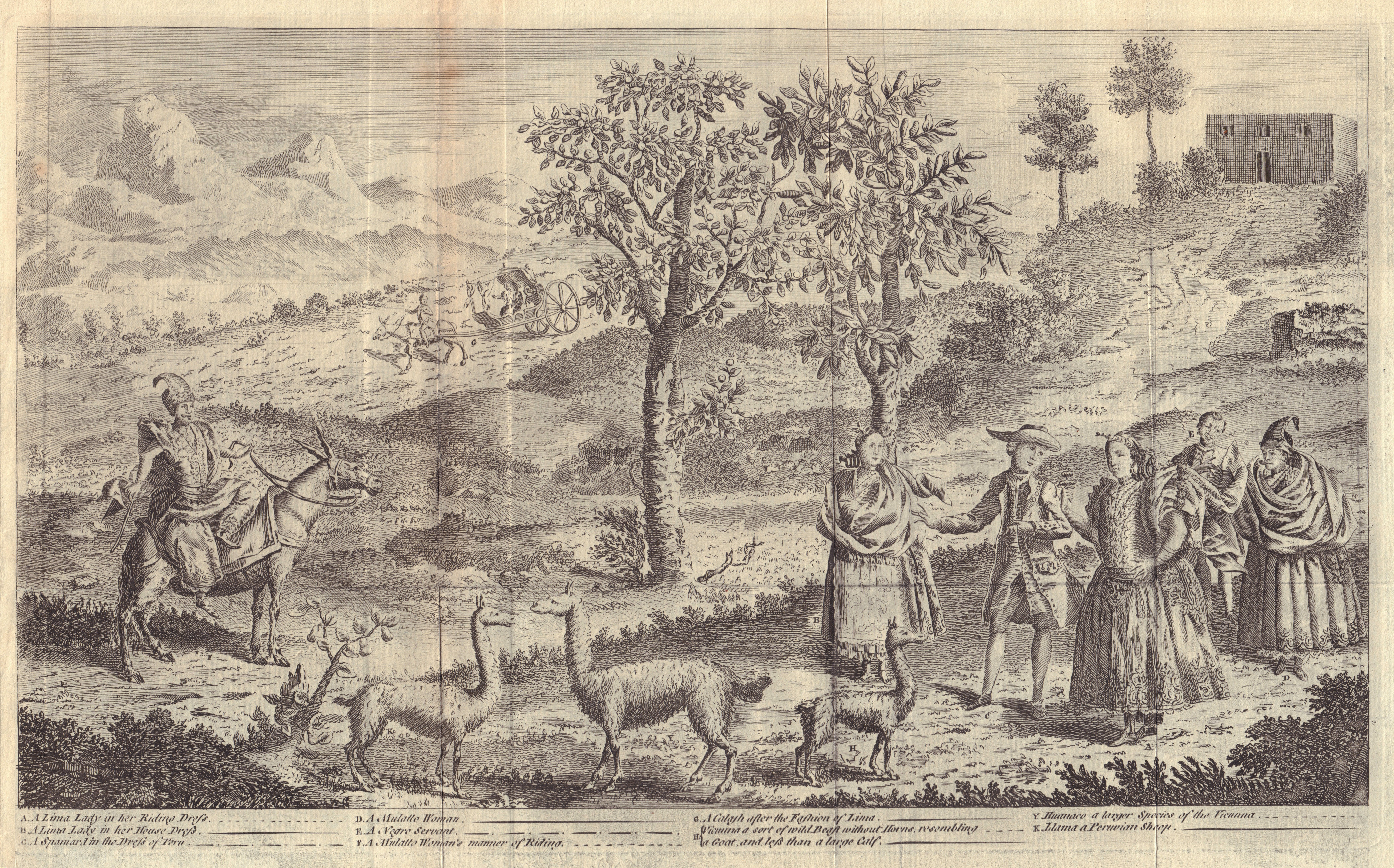 Associate Product Inhabitants of Lima; their animals, the Vicuña and the Lama. Peru 1753 print
