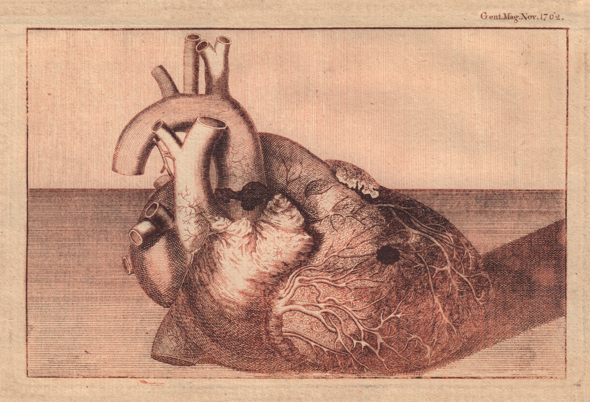 A Representation of the Heart of his late Majesty King George II 1762 print
