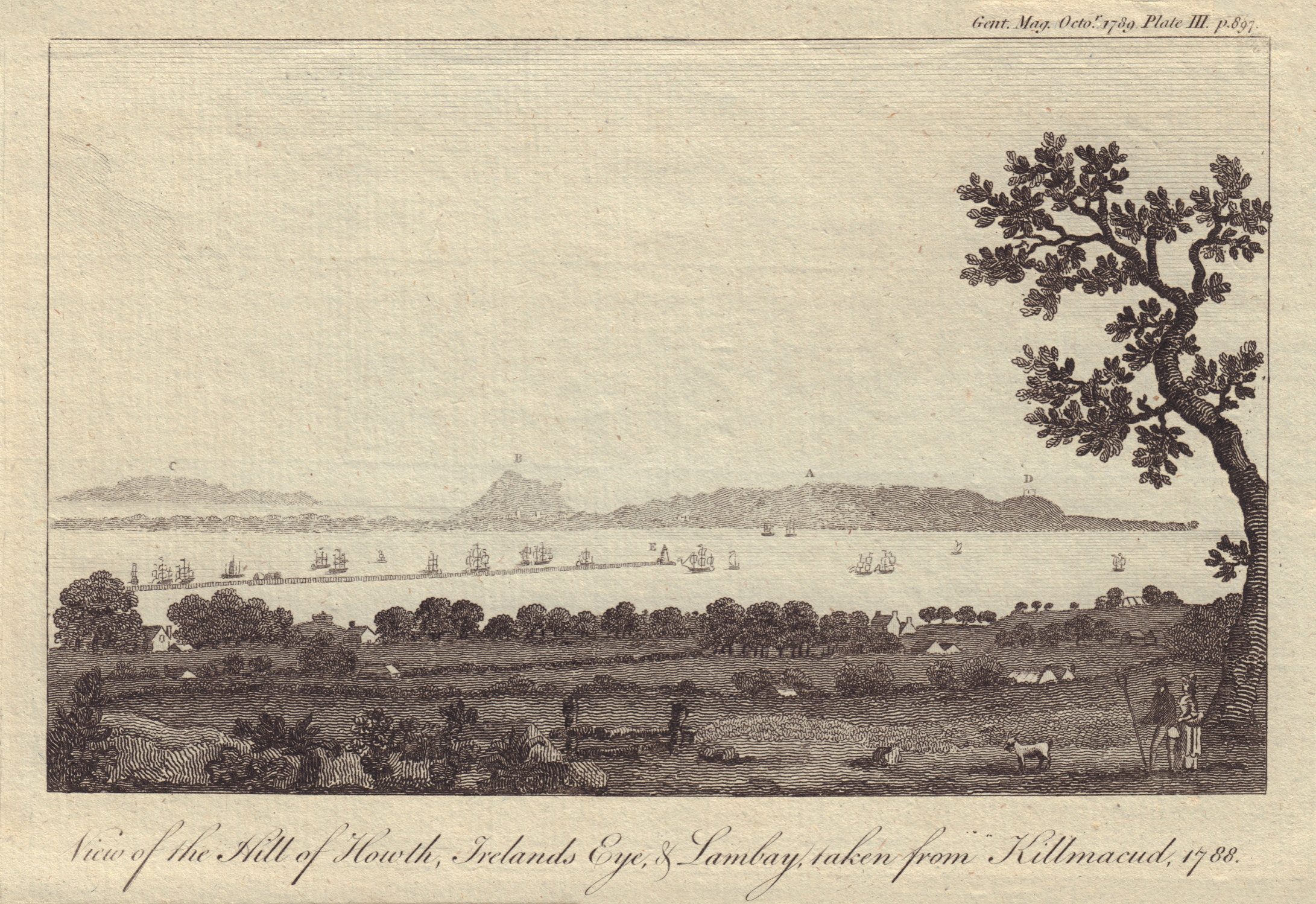 Associate Product The Hill of Howth, Ireland's Eye & Lambay taken from Killmacud. Dublin 1789