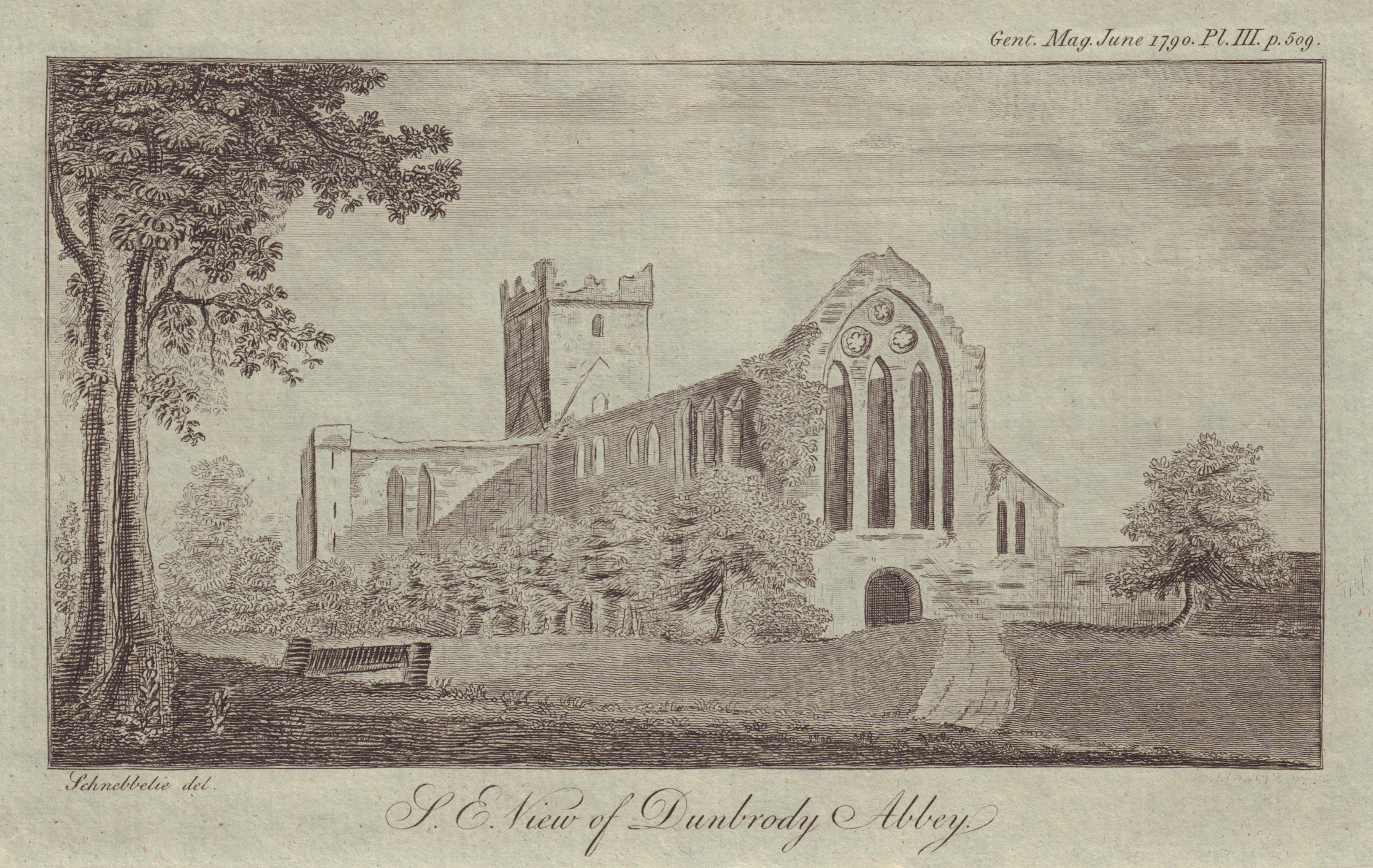 Associate Product S. E. View of Dunbrody Abbey[in Wexford, Ireland. GENTS MAG 1790 old print
