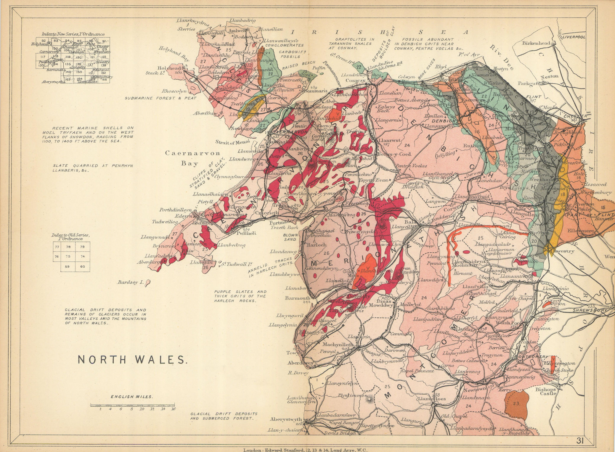 Associate Product NORTH WALES Geological map. STANFORD 1904 old antique vintage plan chart