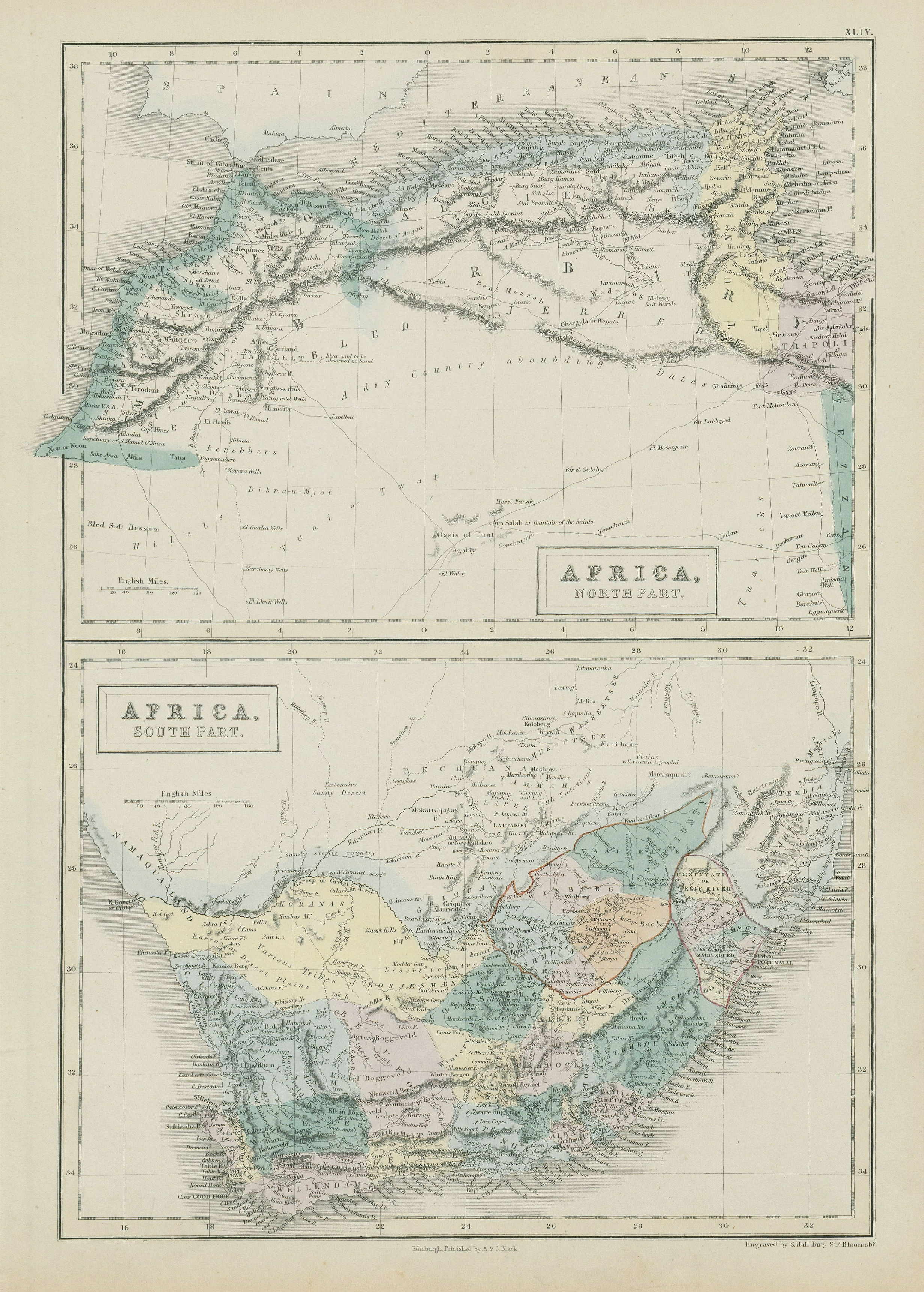 Associate Product Northern & Southern Africa. Maghreb. Orange River Sovereignty. HALL 1856 map