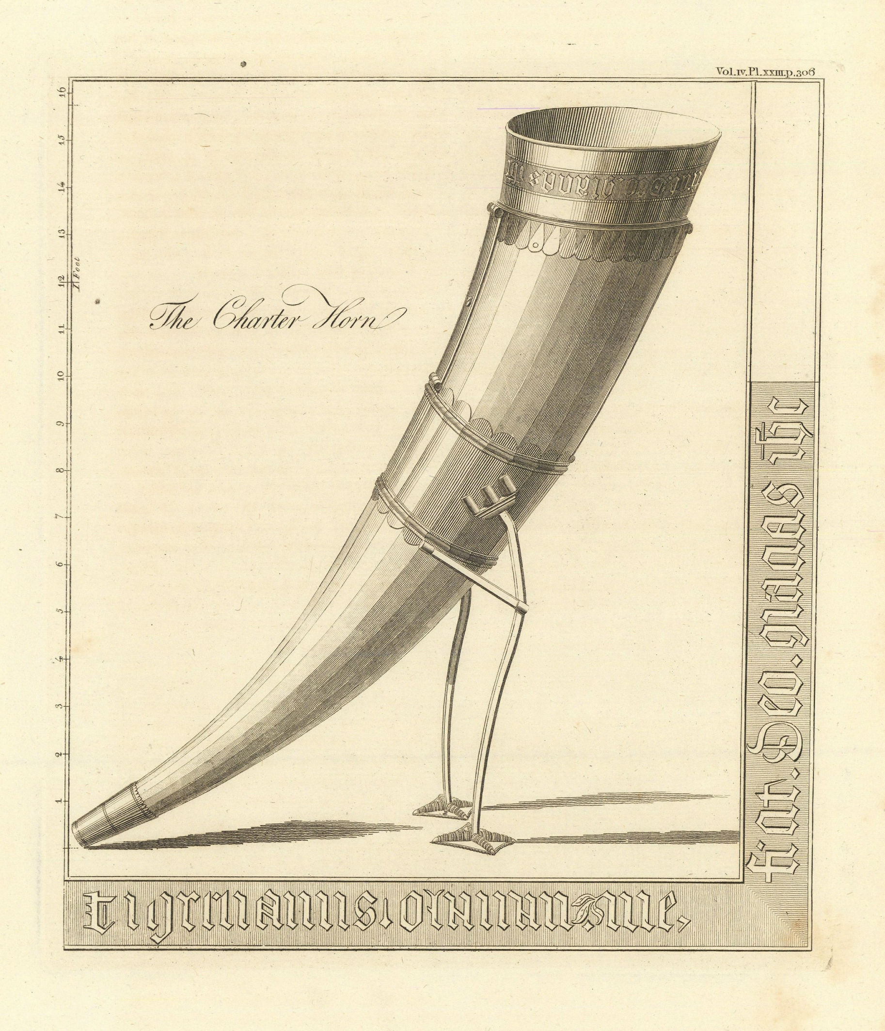 The Kavanagh Charter Horn. Ceremonial drinking horn 1806 old antique print
