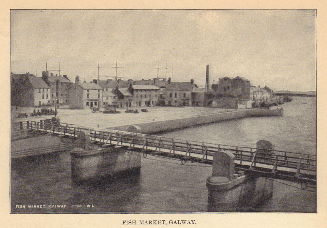 Fish Market, Galway. Ireland 1905 old antique vintage print picture