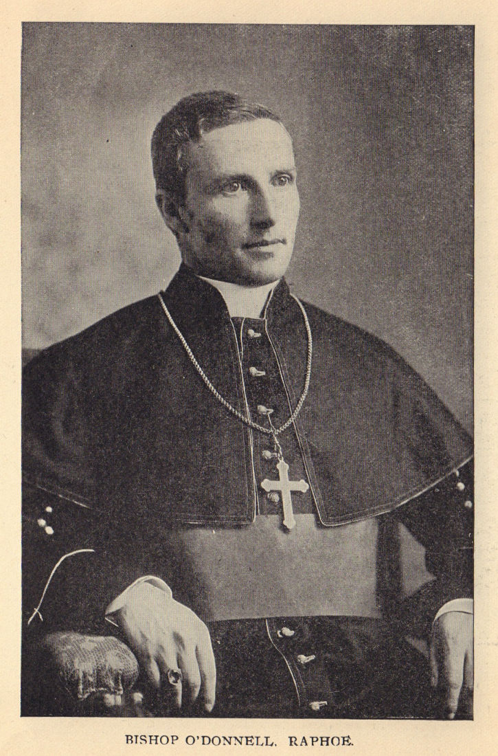 Bishop O'Donnell, Raphoe. Ireland clergy 1905 old antique print picture