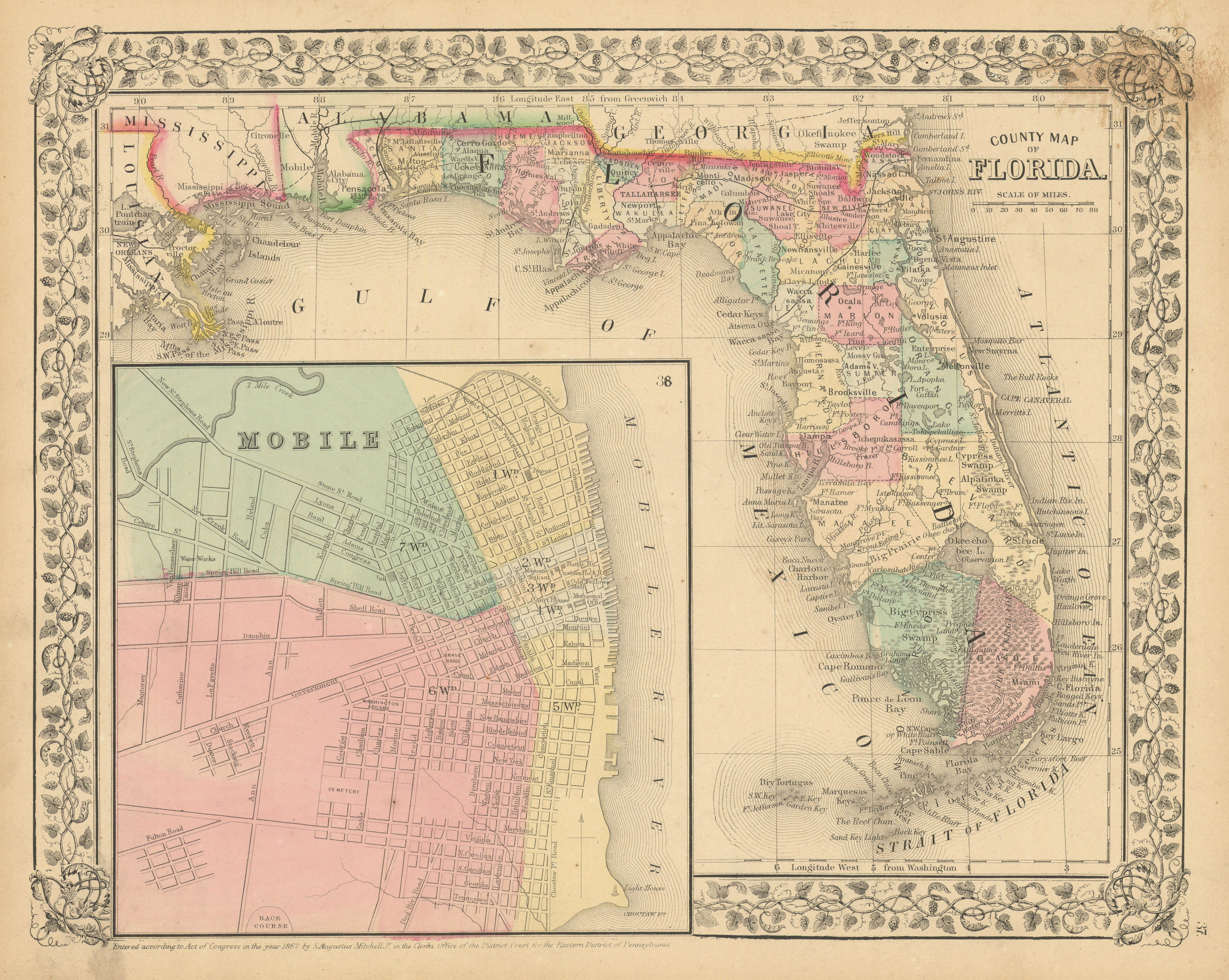Associate Product County map of Florida with Mobile city plan by Samuel Augustus Mitchell 1869