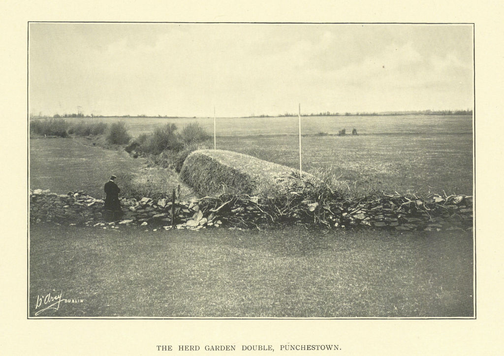 Associate Product The Herd Garden Double, Punchestown. Horse racing. Ireland 1903 old print