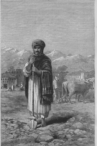AFGHANISTAN. Second Anglo-Afghan War. An Afghan Agriculturist, old print, 1880