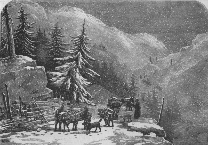 Associate Product SWITZERLAND. Loading wood for the St Bernard hospice near St. Pierre, 1858