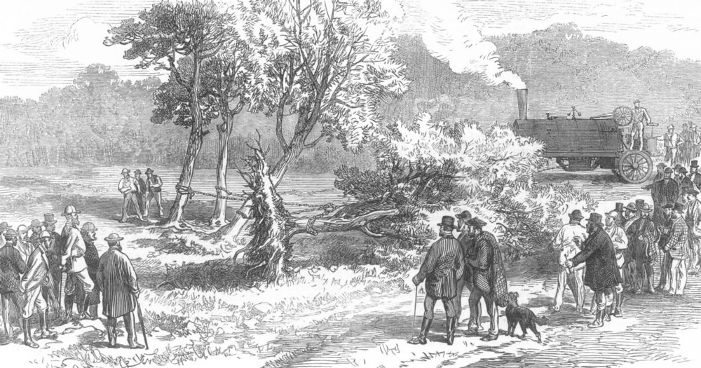Associate Product SCOTLAND. Removing trees by steam-power on the waste lands of Shiness, 1874