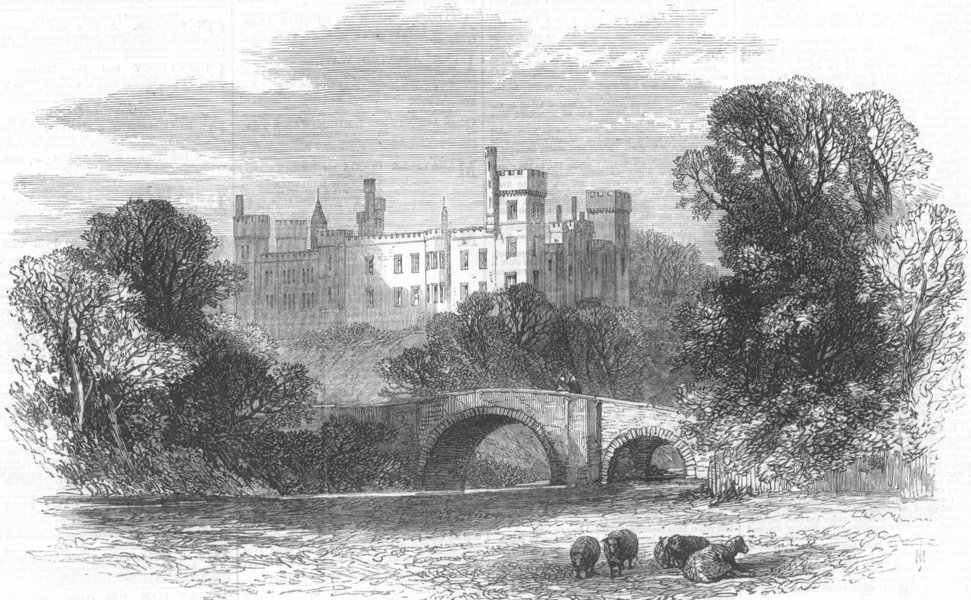 Associate Product IRELAND. Lismore Castle, visited by Prince Arthur, antique print, 1869