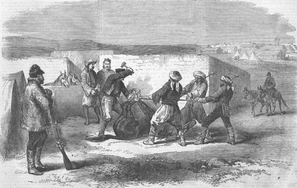 Associate Product UKRAINE. Camp; Shoeing a refractory mule, antique print, 1856