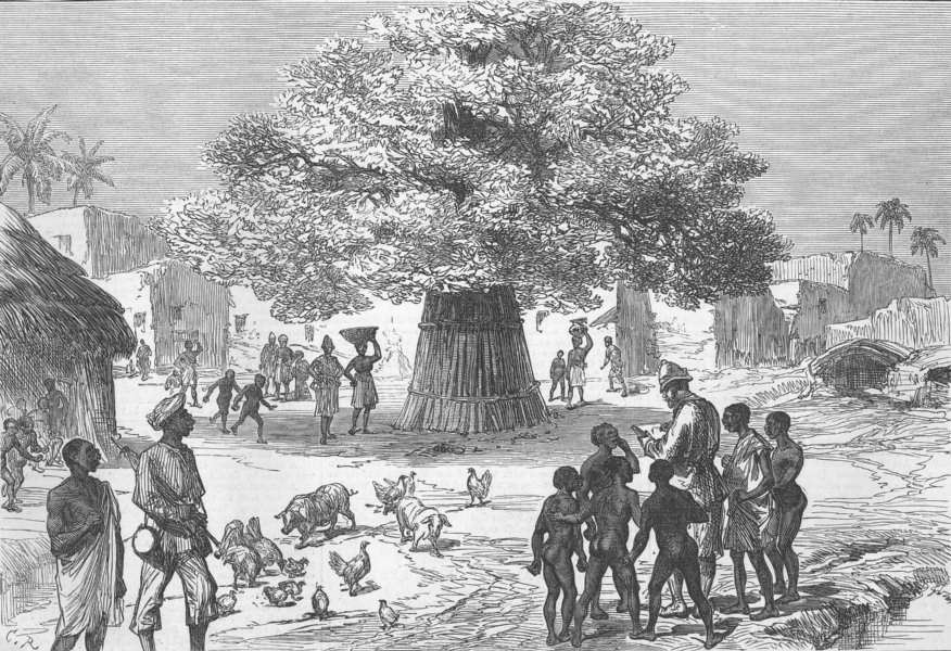Associate Product GHANA. Fetish Tree, village near Cape Coast Castle, antique print, 1874