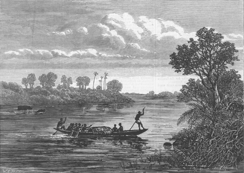 Associate Product MOZAMBIQUE. Hippopotamus Point, Kwa-Kwa River, antique print, 1878