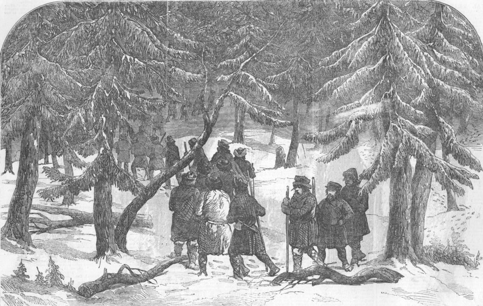 Associate Product RUSSIA. Crimean War. Bear-Hunting in Russia, antique print, 1856
