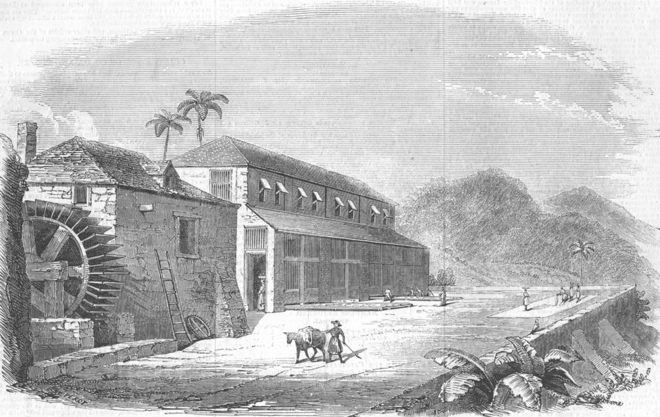 WEST INDIES. Bocan, or Cocoa-Drying House, Granada, antique print, 1857