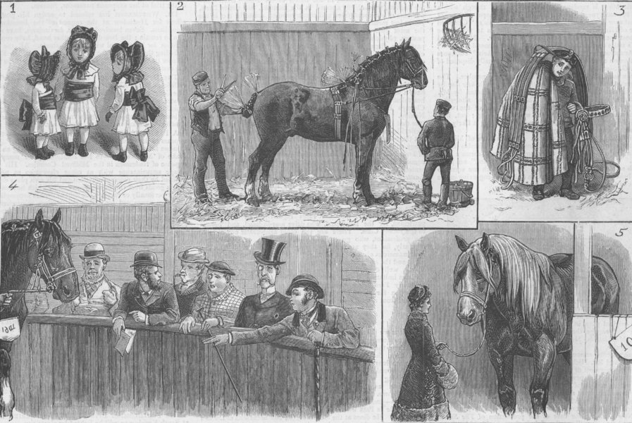 Associate Product HORSES. Cart-Horse Show, Agricultural Hall, antique print, 1883
