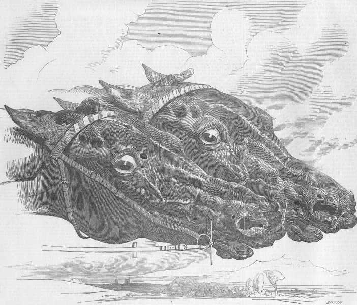 Associate Product RACING. Epsom Races-Flying Dutchman versus Hotspur, antique print, 1849