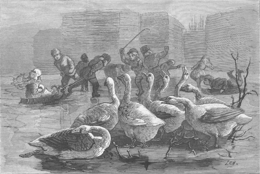Associate Product WINTER SPORTS. Children sledging, Geese watching, antique print, 1879