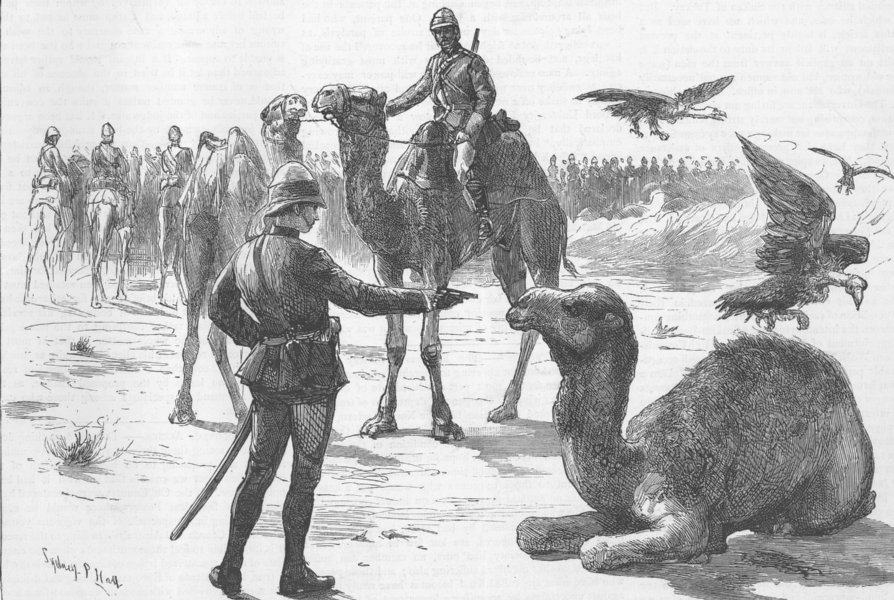 Associate Product SUDAN. Camel-Desert March to Abu Kru, antique print, 1885