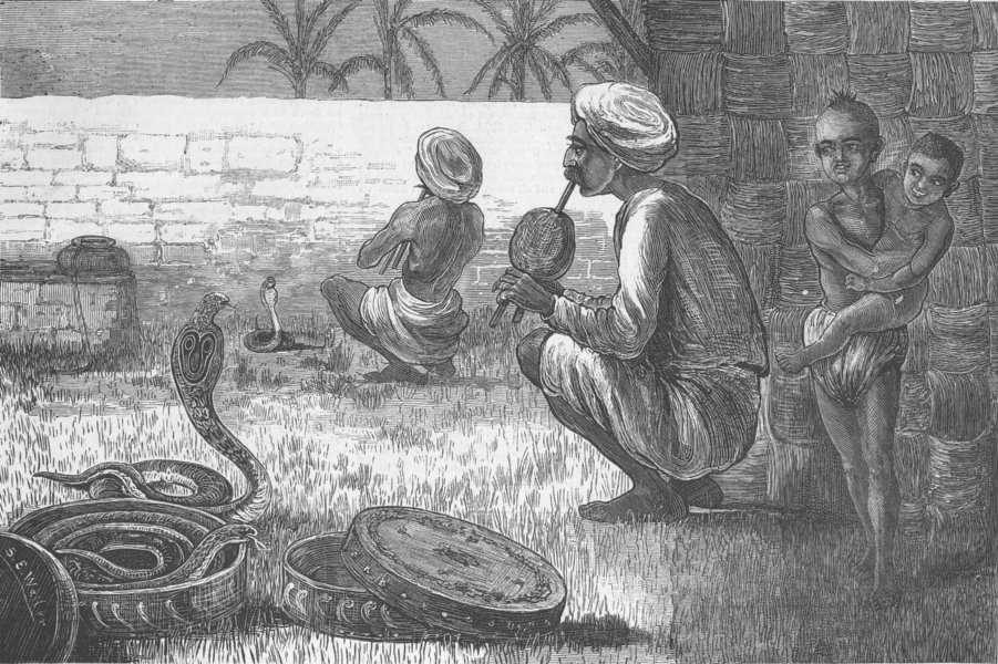 Associate Product INDIA. . A Serpent Charmer, antique print, 1875