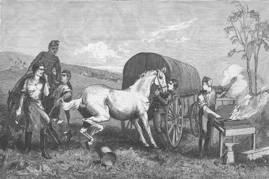 Associate Product HORSES. Manoeuvres. Camp Forge, antique print, 1875