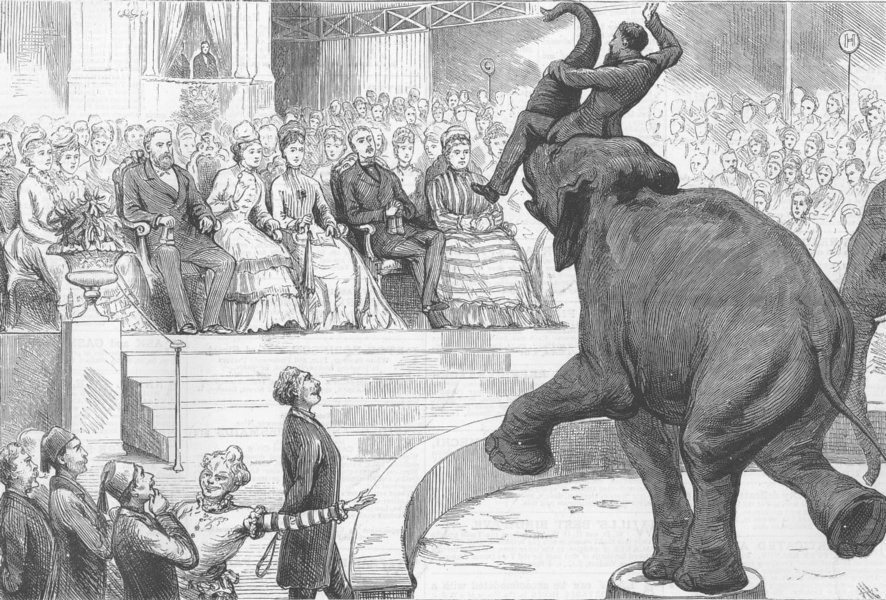 Associate Product LONDON. Elephant performing for Queen, antique print, 1876