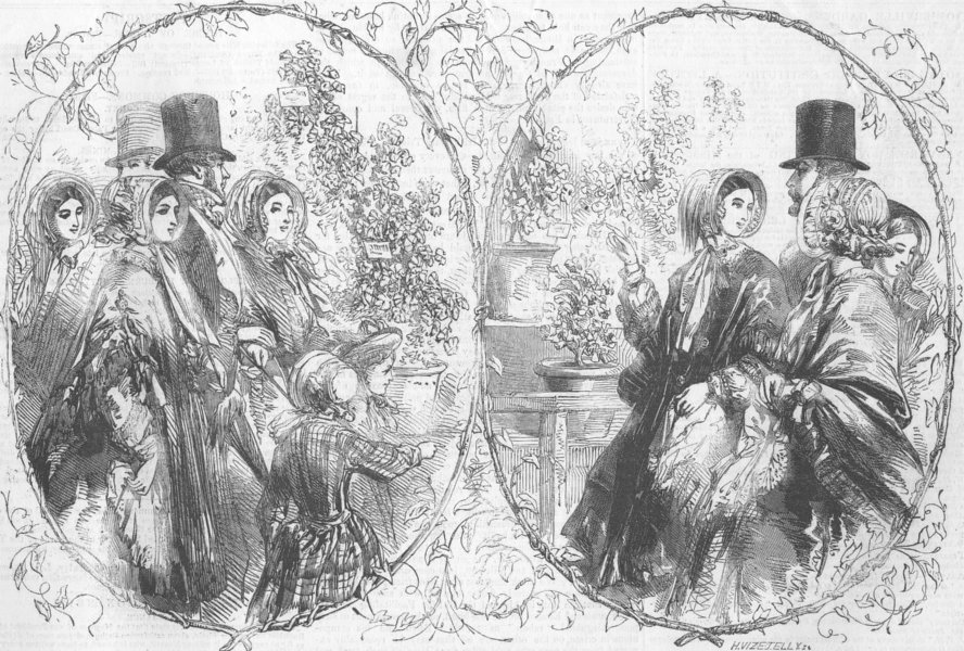 Associate Product SOCIETY. People in Regent's-Park, antique print, 1849