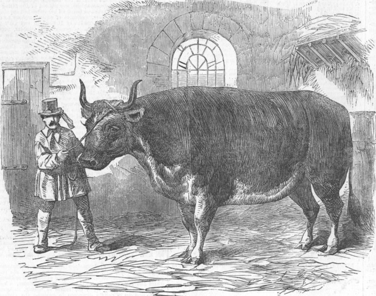 Associate Product FRANCE. Mardi Gras, Paris-fat ox Uncle Tom, antique print, 1853